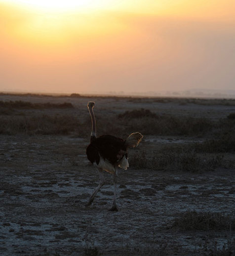 DSC_443811334DSC_4438.jpg