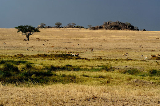 DSC_617413610DSC_6174.jpg