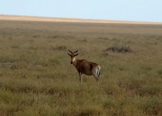 DSC_635013786DSC_6350.jpg
